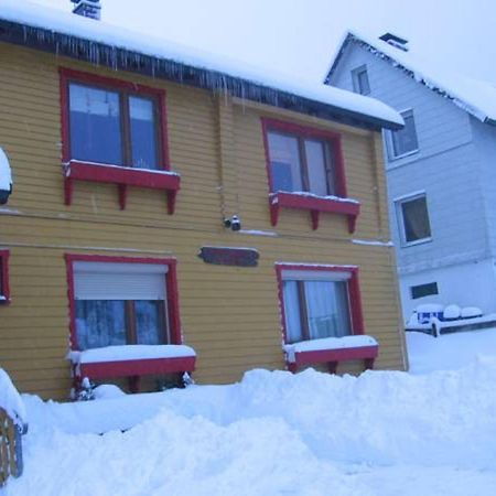 Ferienwohnung Loipe Braunlage Luaran gambar